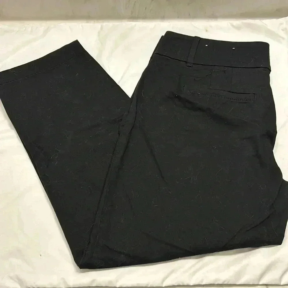 Loft women Crop Pants Size 2